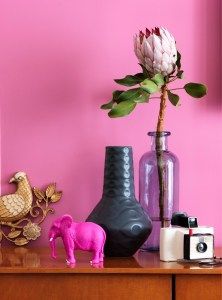 Murcus Hay featured on www.jackiedici.com, photo by Jonny Valiant