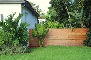 Jackie DiCi: Selecting a Modern Fence