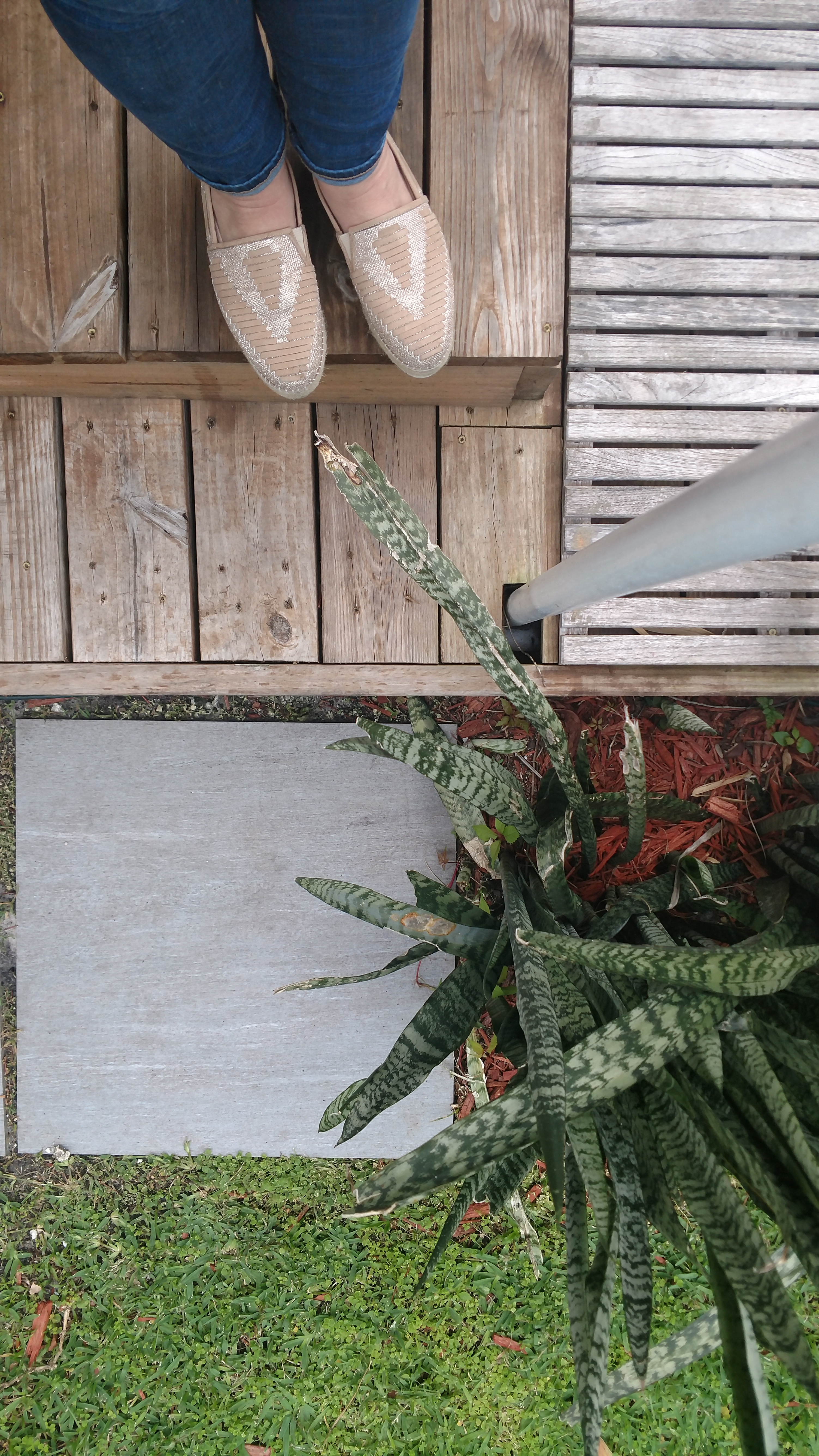 IMG_20170401_172300430 (1)