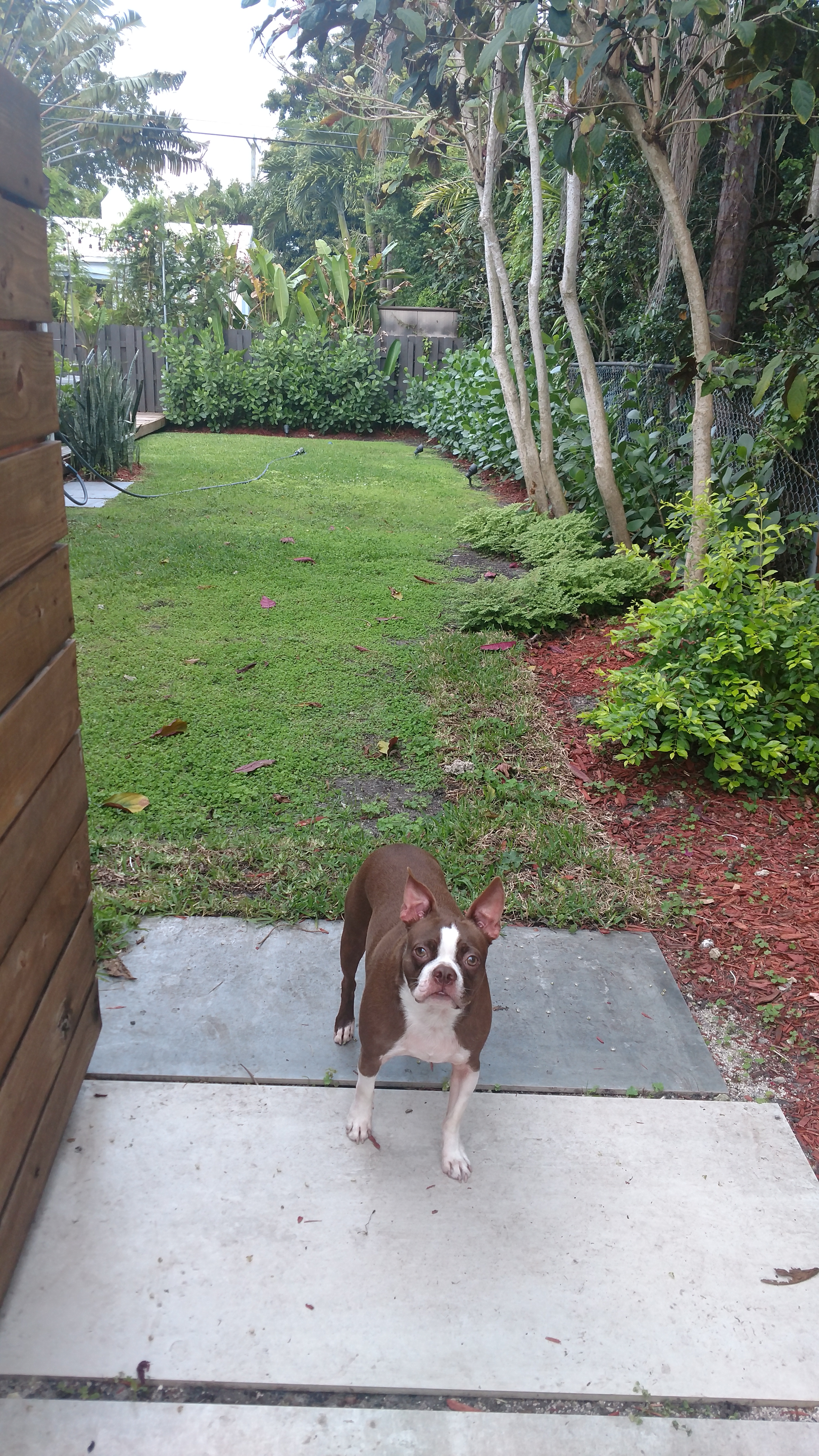 IMG_20170401_172437280_HDR