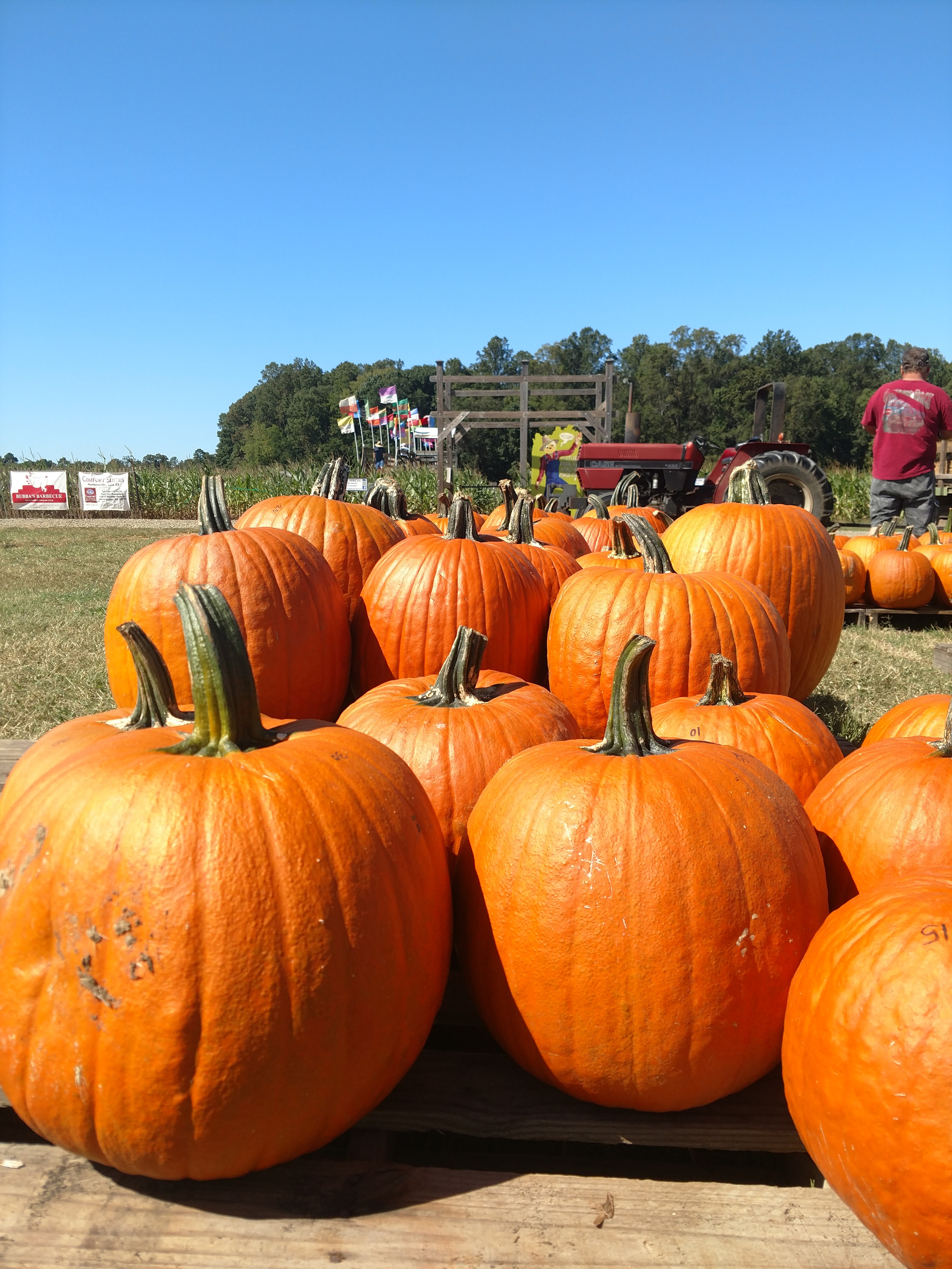 IMG_20170930_120041338