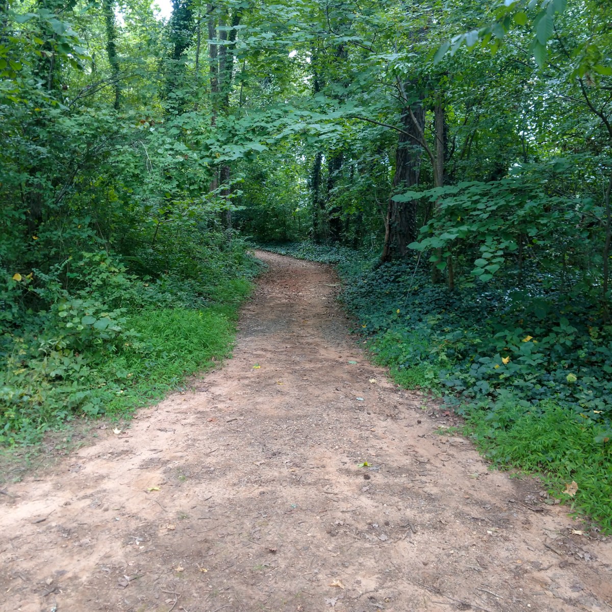 Freedom Park, North&nbsp;Carolina